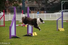 Jo_Maggie_Jumps_022