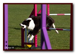 Jo_Maggie_Jumps_046